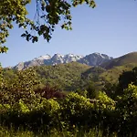 Nabia Candeleda