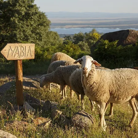 Hotel Nabia 4*