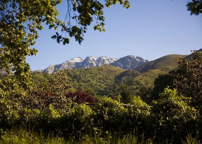 나비아 칸델레다