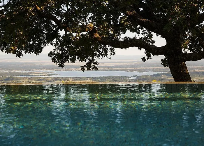 Nabia كانديليدا