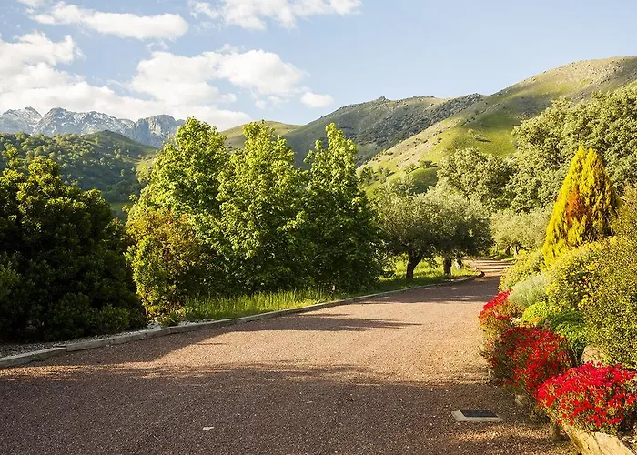 나비아 칸델레다