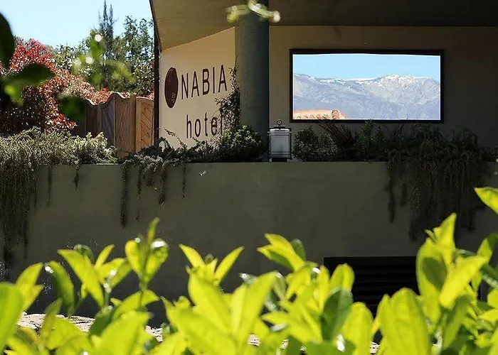 나비아 호텔 칸델레다